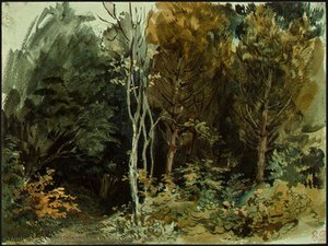 The Edge Of A Wood At Nohant — Eugène Delacroix