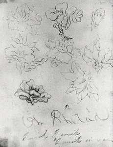 Sketch Of Flowers — Thomas Cole