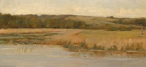 Hill And Marshland — Max Weyl