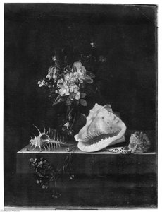 English Still Life With Flowers, Shells And A Butterfly — After Adriaen Coorte