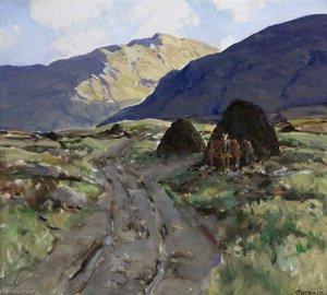 Turf Bog, Connemara
