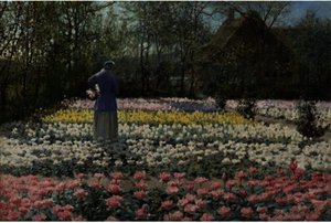 Tulip culture
