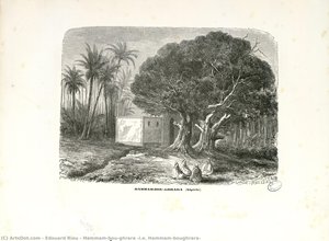 Hammam-bou-ghrara (i.e. Hammam-boughrara)