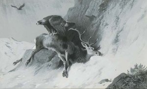 A Golden Eagle On A Dead Stag — Archibald Thorburn