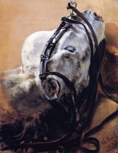 Head Of Horse Wearing Bridle, Lying Down — Адолф Фон Менцел