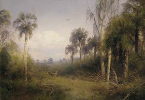 Florida Landscape — Herman Herzog