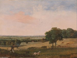 Partridge Shooting