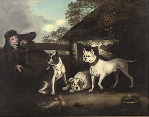 Wasp, Child And Billy