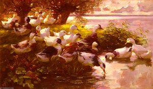 Ducks On A Lake — Alexander Max Koeste