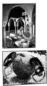 (19) — Maurits Cornelis Escher
