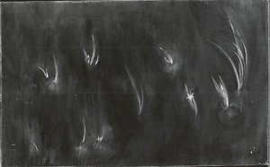 Hyacinths — Loren Maciver