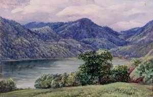 Mr Moffat's Farm, Queensland — Marianne North, Impressionistische Landschaft