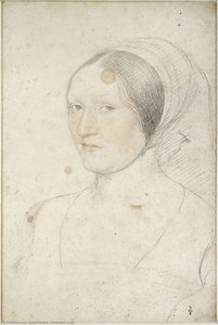Unknown Lady — Žan Klo