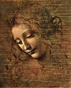 Retrato De Una Joven Con Cabello Alborotado — Leonardo Da Vinci