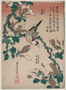 Java Sparrow On Magnolia — Katsushika Hokusai, Japanese Ukiyo-e