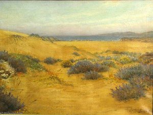 Flowering Dunes — William Barraud