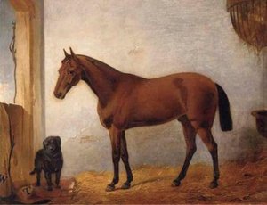 A Chestnut Hunter With A Black Labrador In A Stable — John Frederick Herring Senior