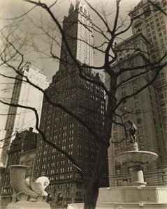Central Park Plaza, From Fifth Avenue At 58th Street — Berenice Abbott