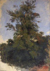 Tree At The Water's Edge — Thomas Stuart Smith
