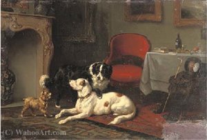 Three furry friends