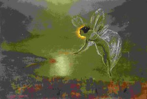 Spirit of the Night