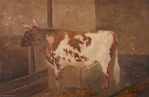 Ayrshire Bull — Robert Lillie