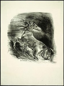 Caballo Salvaje Saliendo Del Agua — Eugène Delacroix