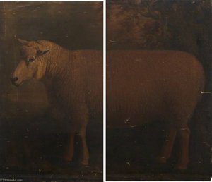 Cotswold Ram (diptych)