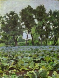 Cabbage Field With Willows — Victor Borisov Mtov