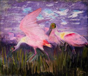 Roseate Spoonbills — Abbott Handerson Thayer