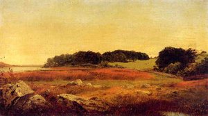 Lily Pond, Newport, Rhode Island — John Frederick Kensett