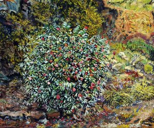 Portrait Of A Camellia Bush — Francis Ferdinand Maurice Cook