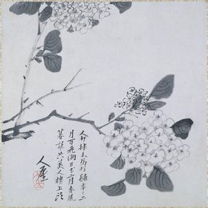 Branch Of Hydrangea — Bada Shanren