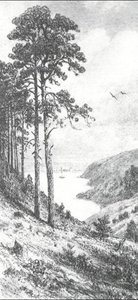 On River Kama Near Elabuga — Ivan Ivanovich Shishkin