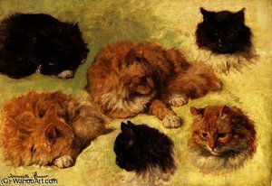 Studies Of Cats — Анријета Ронер-книп