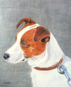 Jack Russell — Rose Maynard Barton