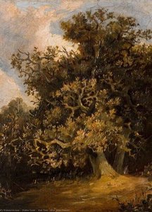 Oak Tree (after John Crome) — Walter Scott