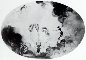 Women Metamorphosed - The Seven Arts, 1944 — Сальвадор Дали, Surrealism