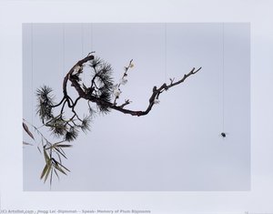 Speak, Memory Of Plum Blossoms — Hong Lei (diplomático)