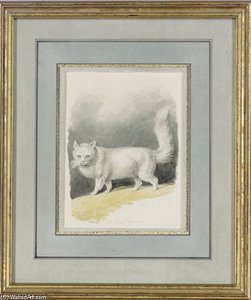 A Persian Cat — Samuel Howitt