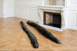 Bois Flotté Et Stratifié, Polyester Et Graphite — Antoine Pierre Charles Grand