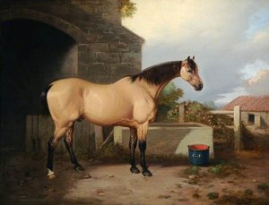 Horse In A Stable Yard — William Malbon