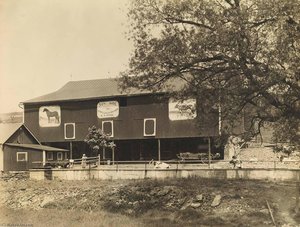 Sunside Stock Poultry Farm — Berenice Abbott