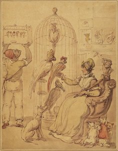 Lady Surrounded By Her Pets — Thomas Rowlandson