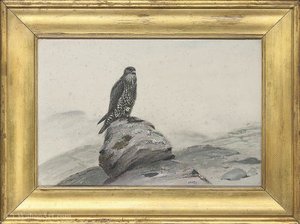 Peregrine Falcon On A Rocky Outcrop — George Edward Lodge