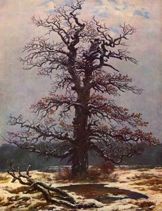 Árbol De Hoja Perenne En La Nieve — Caspar David Friedrich