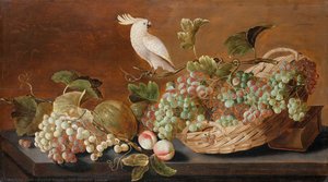 Still life with parrot