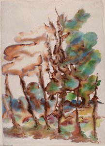 Pine Trees New England