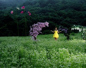 Giant Flowers — Jung Yeon Doo