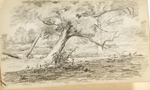 Tree 4 — John Ottis Adams